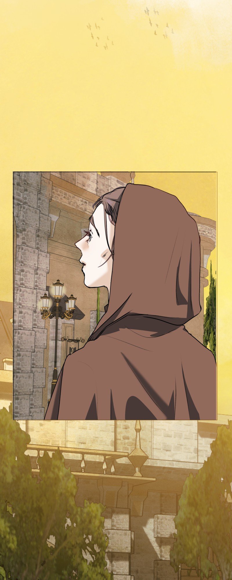 50296870 800 2000 200486