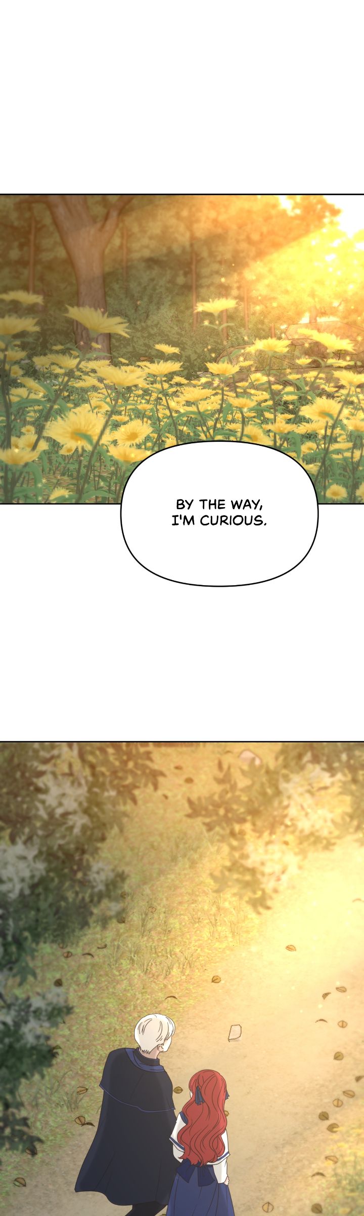 65774485 720 2400 173033